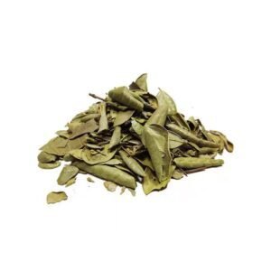 Boldo do Chile Em Folhas Pacote (Granel 100g)