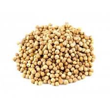 Coentro em grão (granel 100g)