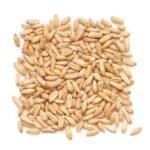 Aveia em Grão (granel 100g)- Emagrece com saude