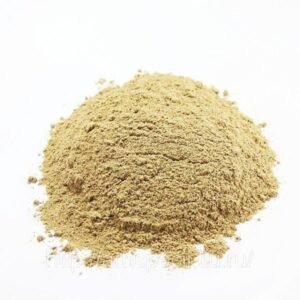 Cebola em pó (granel 100g)