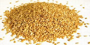 Linhaça Dourada (granel 100g) - Imagem 3