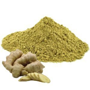 Gengibre puro em pó (granel 100g)