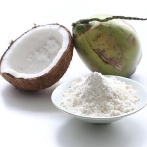 Leite de Coco em Pó (granel 100g)