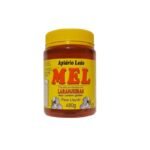 Mel Laranjeira Apiário Leão 480g