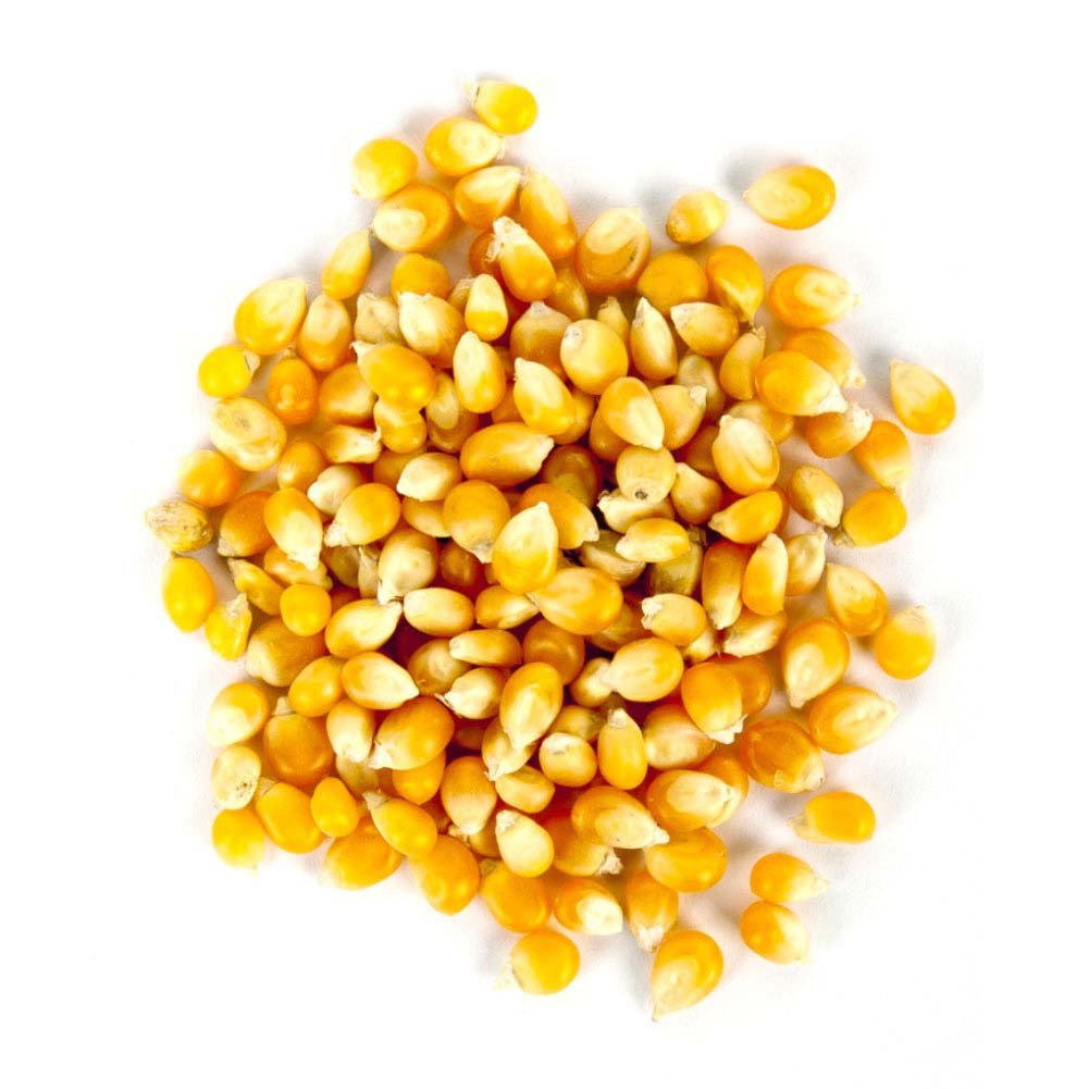 Milho de pipoca (granel 100g)