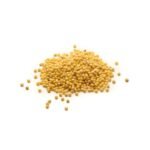 Painço descascado (granel 100g)