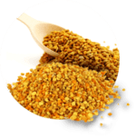 Pólen Apícola Desidratado (Granel 100g)