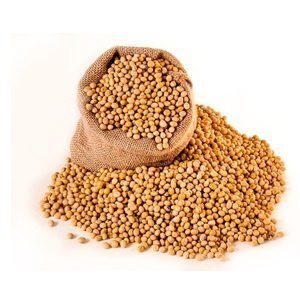 Soja em Grão (granel 100g)